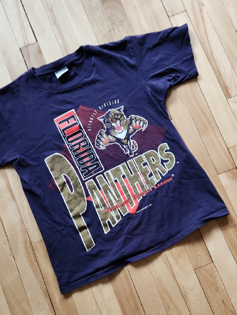 Gildan Navy Florida Panthers Graphic Tee with Gold Accents - Picture 4 of 13